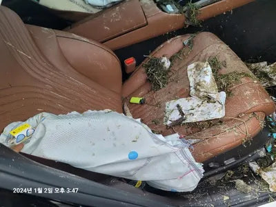 2023 Genesis G80 VIN: