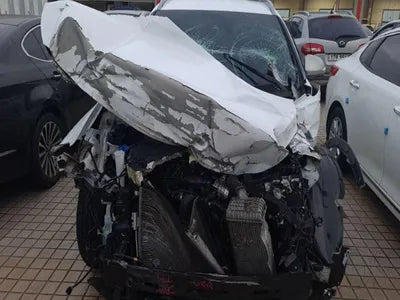 2019 Hyundai Santa FE KMHS581CBKU081567 VIN:KMHS581CBKU081567