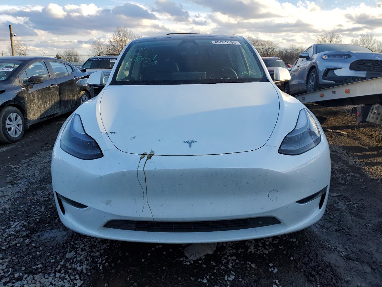 2023 TESLA MODEL Y  VIN:7SAYGDEE8PA160648