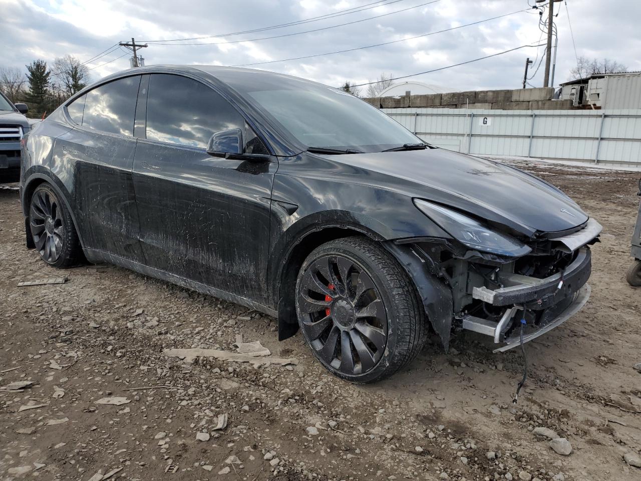 2023 TESLA MODEL Y  VIN:7SAYGDEF4PF834497