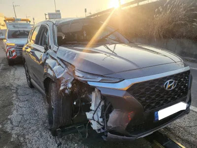 2019 Hyundai Santa FE KMHS281BBKU176211 VIN:KMHS281BBKU176211