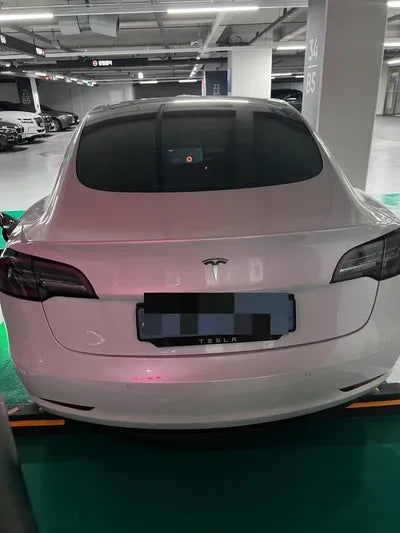 2019 Tesla Model 3 VIN: