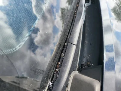 2019 Lexus ES 300 VIN: