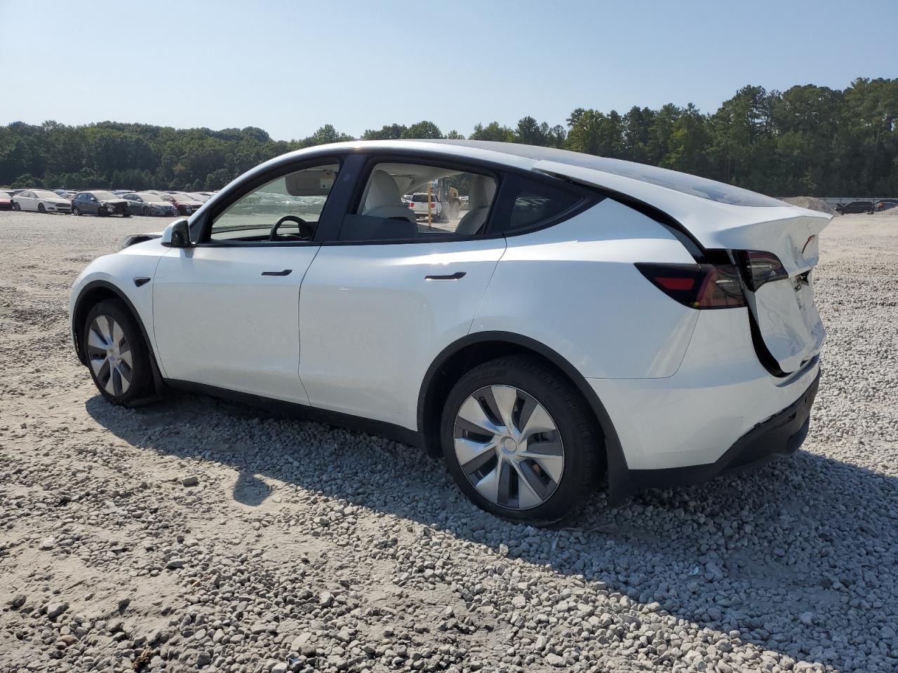 2023 TESLA MODEL Y  VIN:7SAYGDEE0PA149689