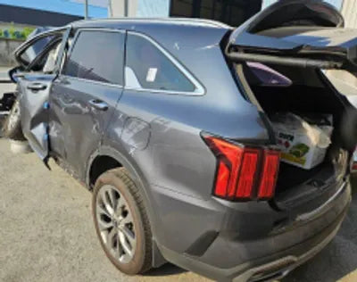 2021 Kia Sorento KNARL81BGMA078047 VIN:KNARL81BGMA078047