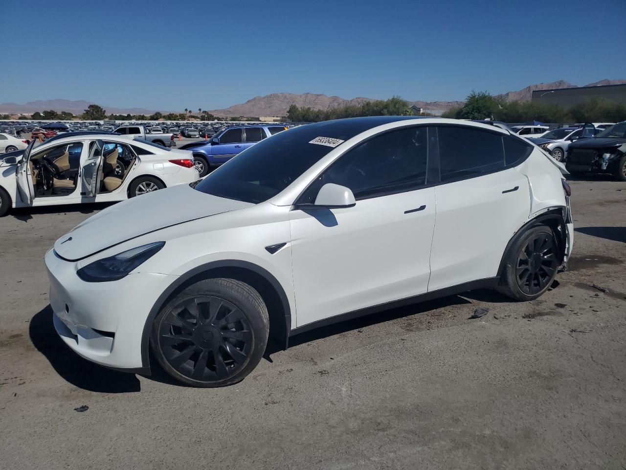 2023 TESLA MODEL Y  VIN:7SAYGDEEXPF617558