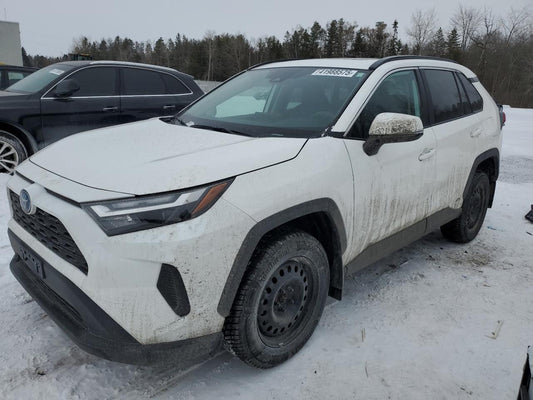 2024 TOYOTA RAV4 XLE VIN:2T3RWRFV6RW217719