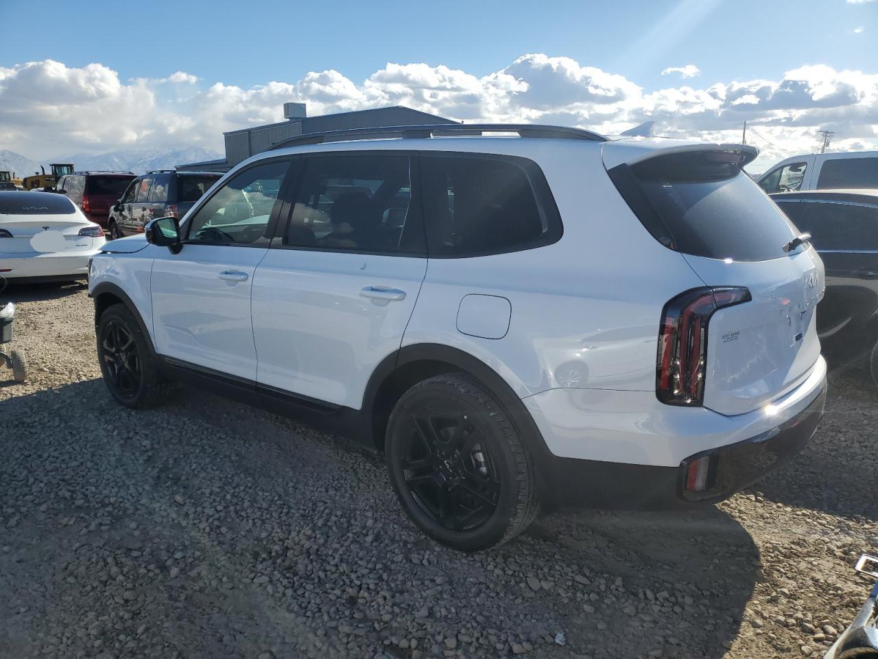 2024 KIA TELLURIDE SX VIN:5XYP5DGC7RG551637