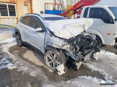2019 Hyundai Kona KMHK4815GKU401737 VIN:KMHK4815GKU401737