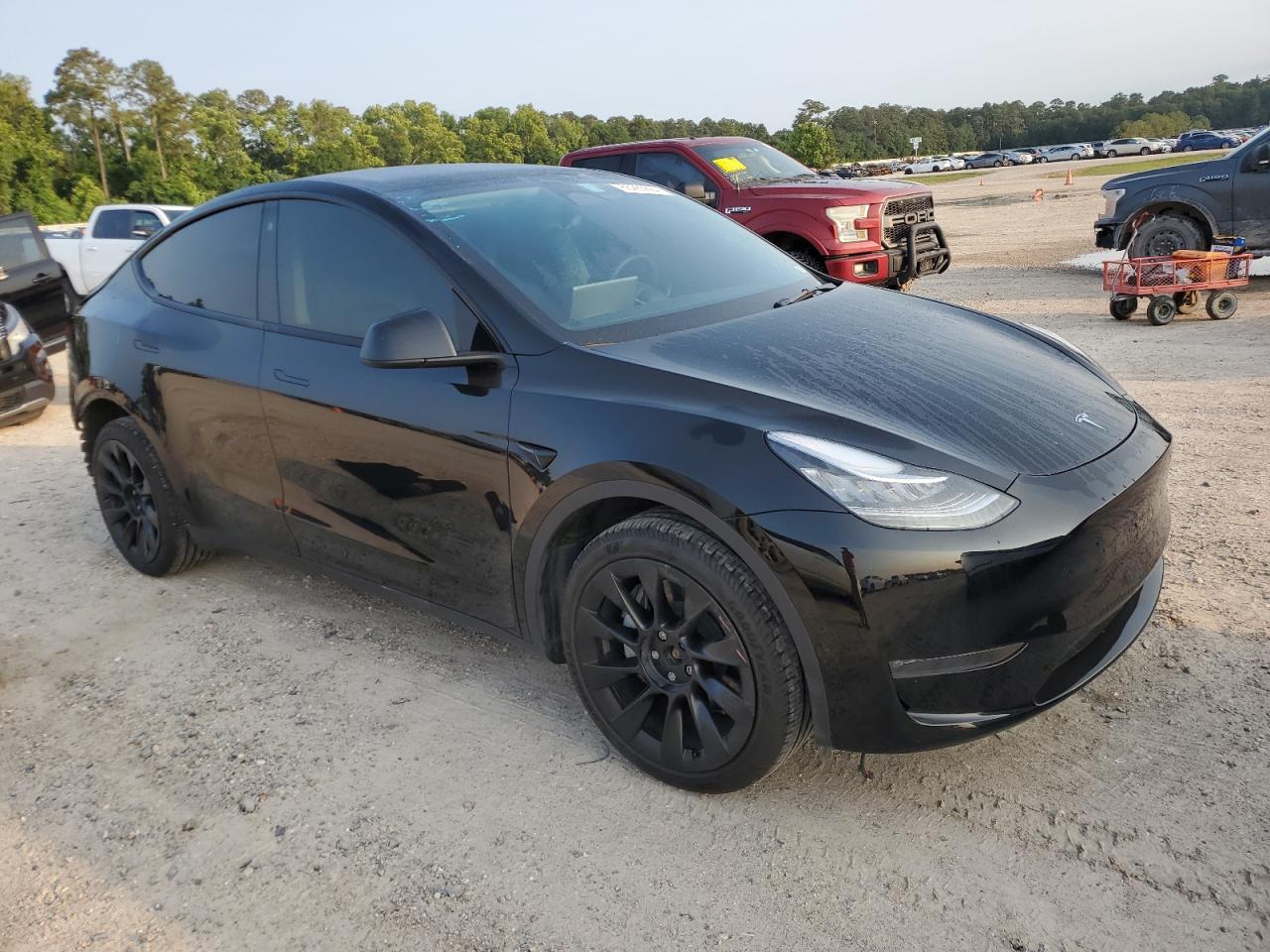 2023 TESLA MODEL Y  VIN:7SAYGDEE3PA029823