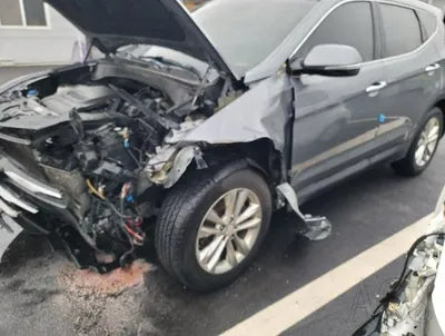 2018 Hyundai Santa FE KMHSW81UBJU851143 VIN:KMHSW81UBJU851143