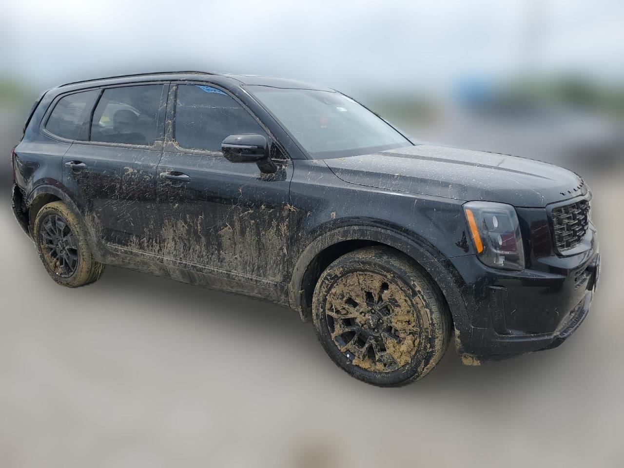 2022 KIA TELLURIDE SX VIN:5XYP5DHCXNG247274