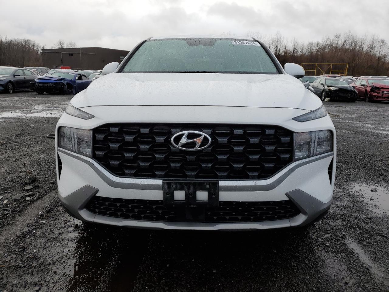 2023 HYUNDAI SANTA FE SE VIN:5NMS1DAJXPH614150
