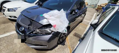 2019 Nissan Leaf 1N4AZ1CP7KC306645 VIN:1N4AZ1CP7KC306645