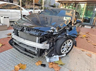 2020 Mercedes-Benz A 220 W1K3G4EB3LJ201809 VIN:W1K3G4EB3LJ201809