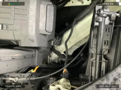 2020 Kia Carnival KNANC81BBMS004429 VIN:KNANC81BBMS004429