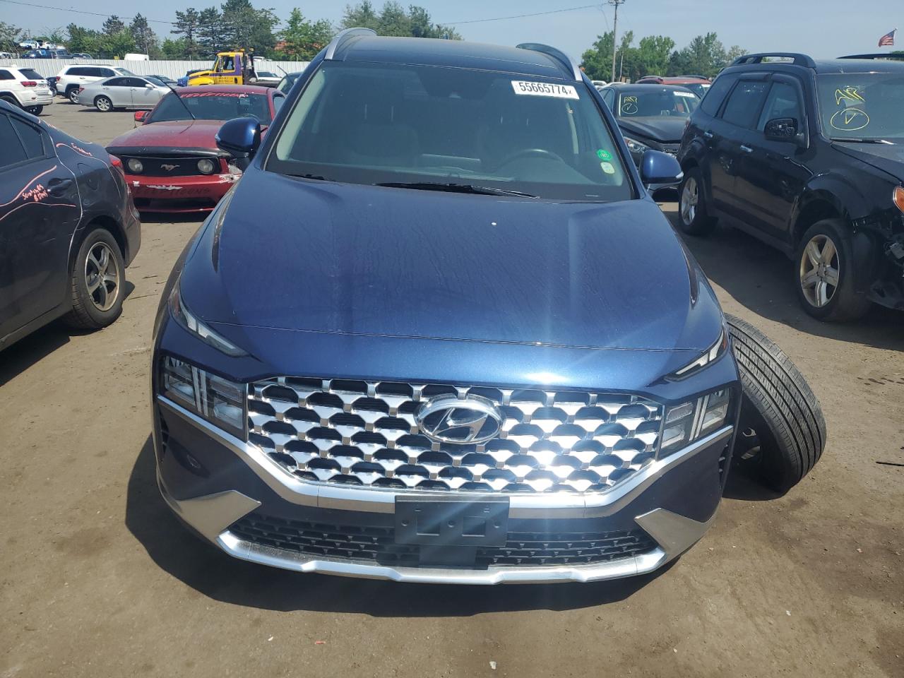 2023 HYUNDAI SANTA FE SEL PREMIUM VIN:5NMS3DAJ0PH589799