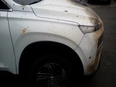 2021 Hyundai Santa FE KMHS381HGMU336284 VIN:KMHS381HGMU336284