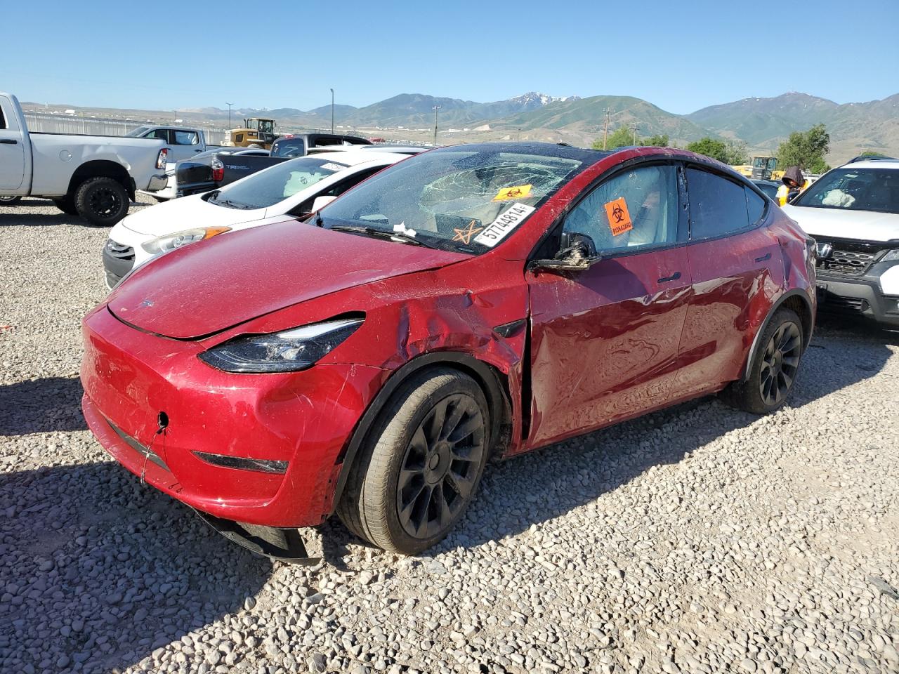 2023 TESLA MODEL Y  VIN:7SAYGDEE6PF877777