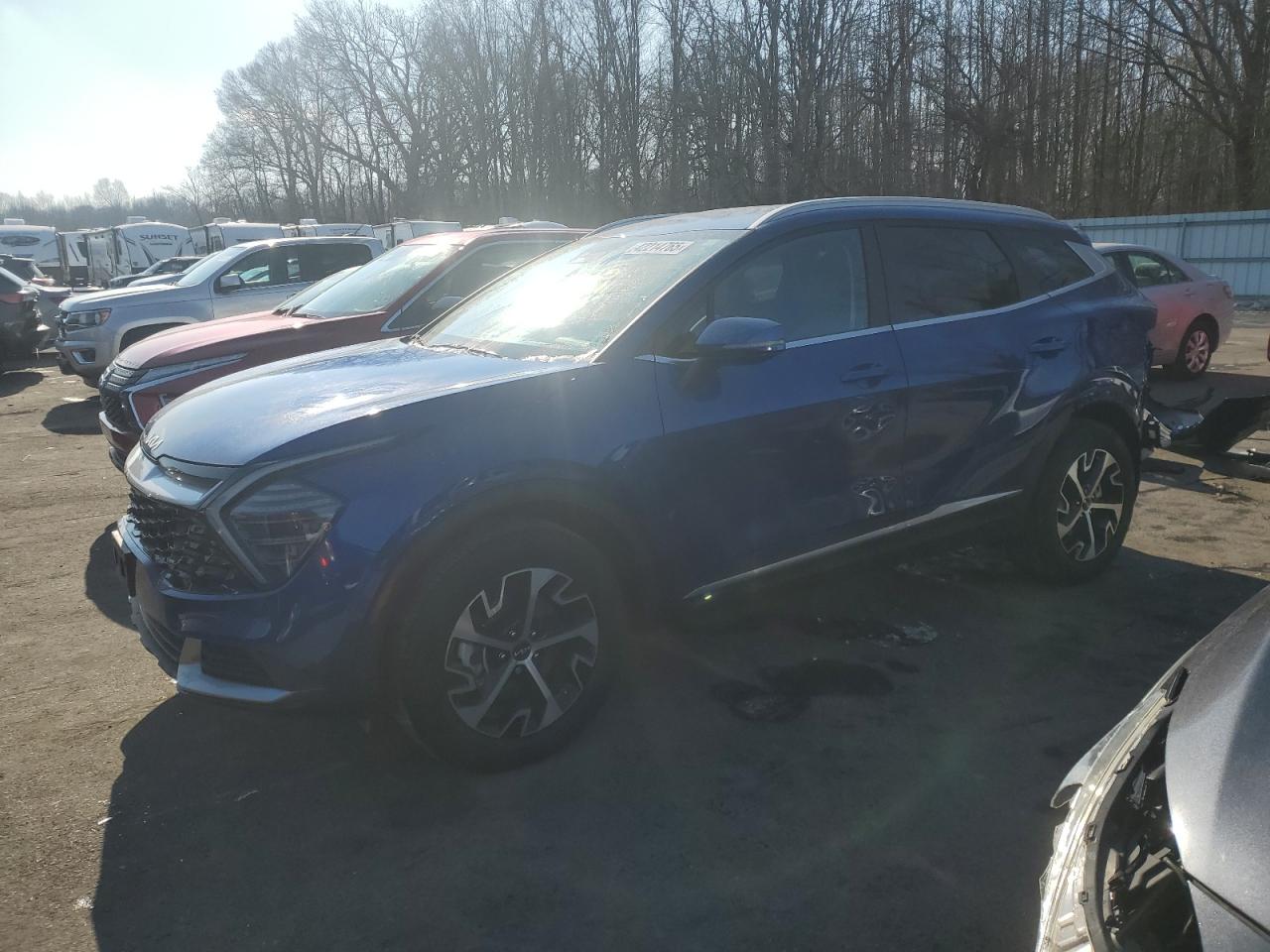 2024 KIA SPORTAGE EX VIN:5XYK3CDF6RG179796