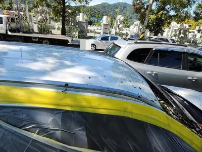 2020 Kia Sorento VIN: