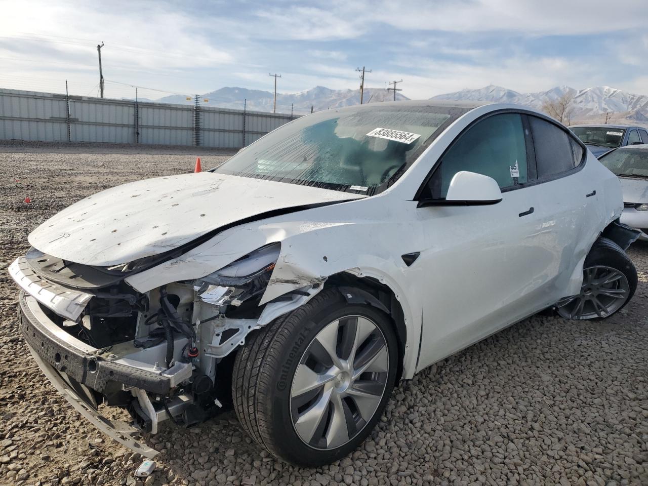 2024 TESLA MODEL Y  VIN:7SAYGDEE8RF089117