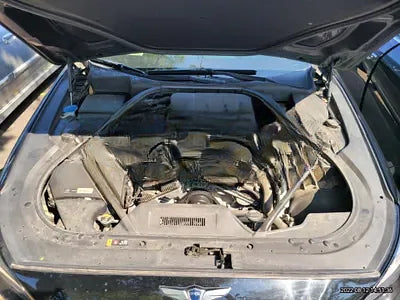 2016 acupuncture nessis 3.3 NONE VIN: