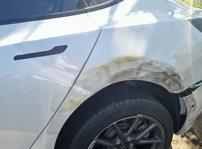 2022 Tesla Model 3 5YJ3E1EA5NF303368 VIN:5YJ3E1EA5NF303368