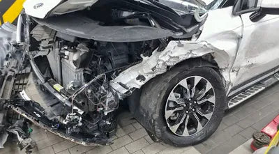 2021 Kia Carnival KNANC81BBMS037923 VIN:KNANC81BBMS037923