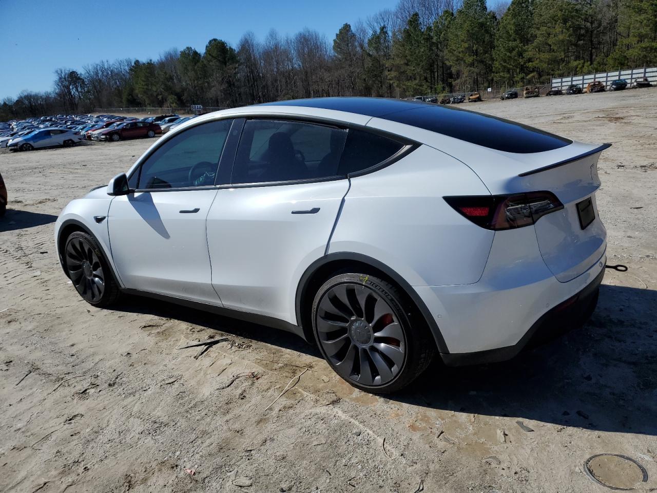 2022 TESLA MODEL Y  VIN:7SAYGDEF1NF374096