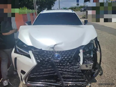 2021 Lexus UX 250 VIN:
