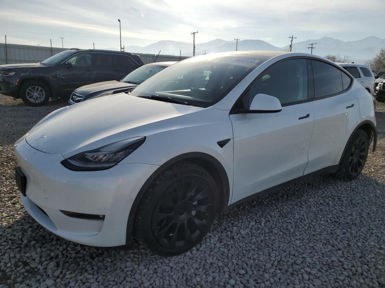 2022 TESLA MODEL Y  VIN:7SAYGDEE0NF385730