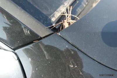 2016 Audi A6 WAUZZZ4G7GN171055 VIN:WAUZZZ4G7GN171055