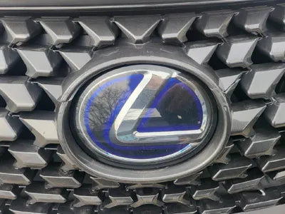 2019 Lexus UX 250 JTHY6JBH1K2001609 VIN:JTHY6JBH1K2001609