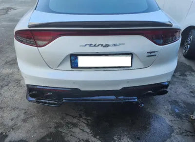 2021 Kia Stinger KNAE551CDMS098940 VIN:KNAE551CDMS098940
