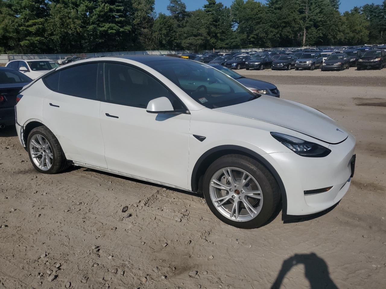 2023 TESLA MODEL Y  VIN:7SAYGDEE1PA145859