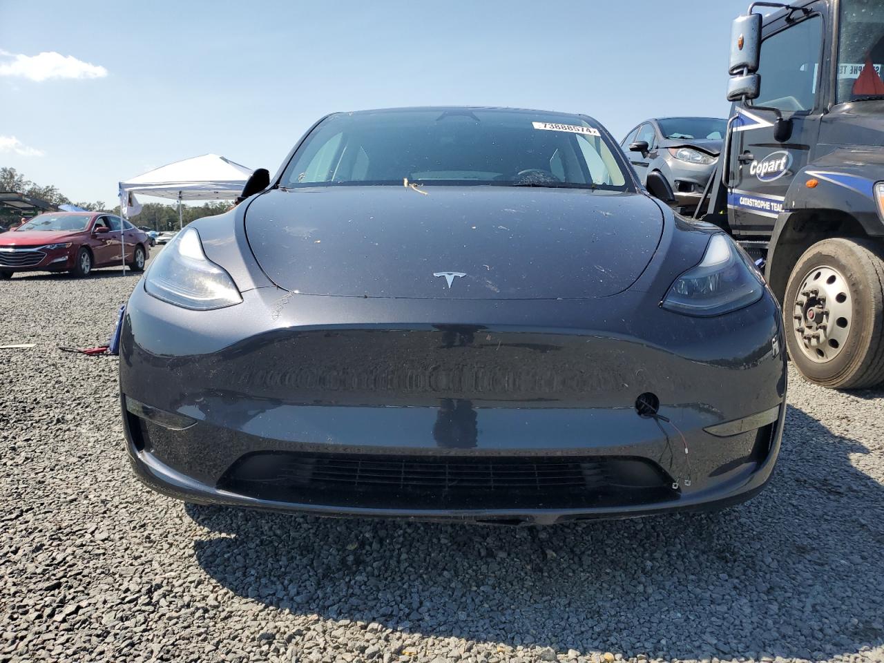 2024 TESLA MODEL Y  VIN:7SAYGDED8RF091697