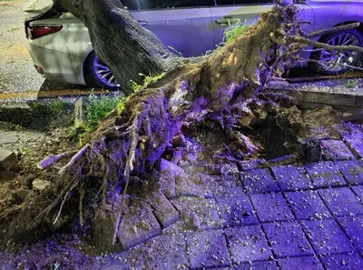 2018 Lexus ES 300 VIN: