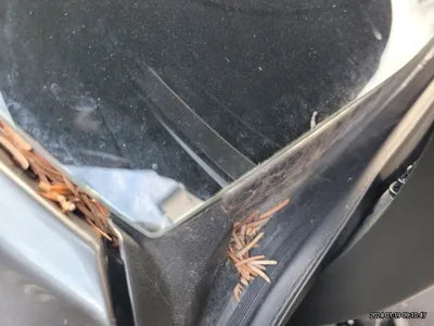 2023 Toyota Camry JTNBA1HKXP3031438 VIN:JTNBA1HKXP3031438