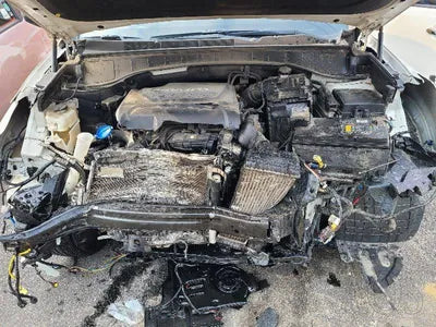 2017 Hyundai Santa FE KMHSW81UBJU839596 VIN:KMHSW81UBJU839596