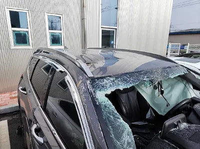 2020 Hyundai Santa FE KMHS381BDLU264845 VIN:KMHS381BDLU264845