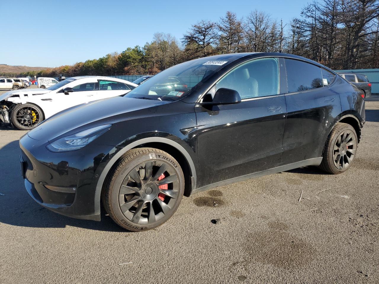 2022 TESLA MODEL Y  VIN:7SAYGDEE2NF342216