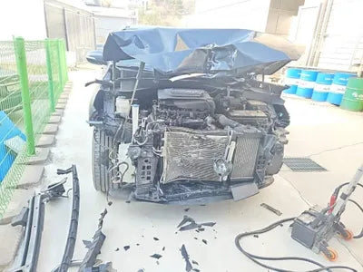 2017 Kia Sorento KNAPG81ABJA385244 VIN:KNAPG81ABJA385244