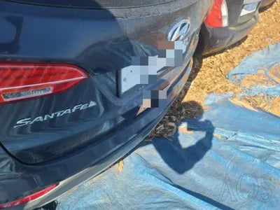 2015 Hyundai Santa FE 983KMKMHSW81UDFU5 VIN:983KMKMHSW81UDFU5