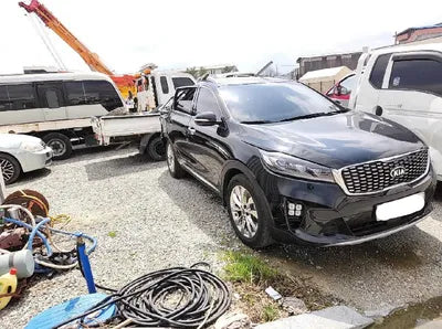2019 Kia Sorento 315KMKNAPG81BBKA5 VIN:315KMKNAPG81BBKA5