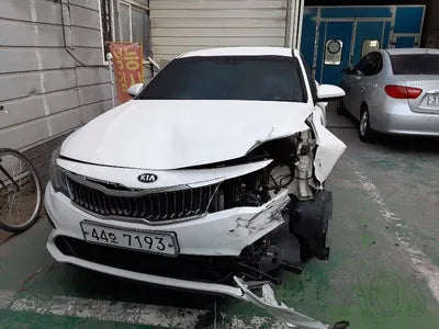 2019 Kia K5 KNAGS416BKA287619 VIN:KNAGS416BKA287619