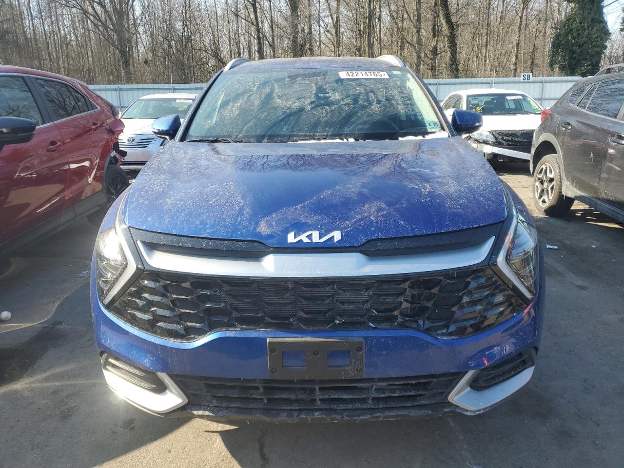 2024 KIA SPORTAGE EX VIN:5XYK3CDF6RG179796