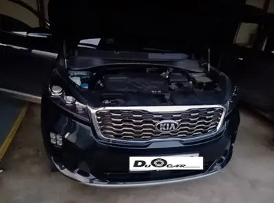 2020 Kia Sorento KNAPS81ABLA631569 VIN:KNAPS81ABLA631569