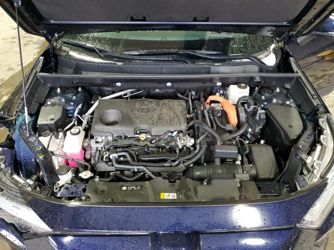 2024 TOYOTA RAV4 XLE VIN:4T3RWRFV7RU147129