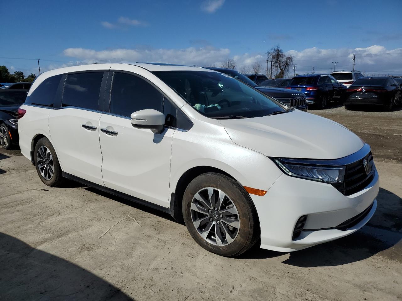 2023 HONDA ODYSSEY EXL VIN:5FNRL6H65PB051693